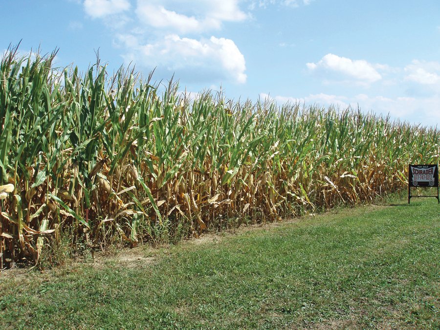 For sale: 77 Acre Farm - Fountain City, IN